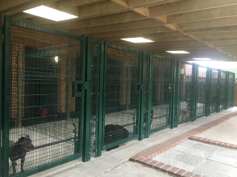 IMG_7150 Essex Luxury Dog Boarding